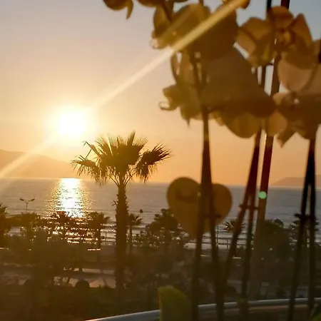 Apartment Vale House