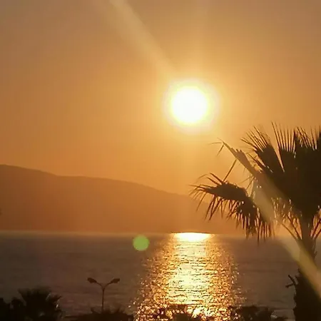 Vale House 公寓 Vlorë